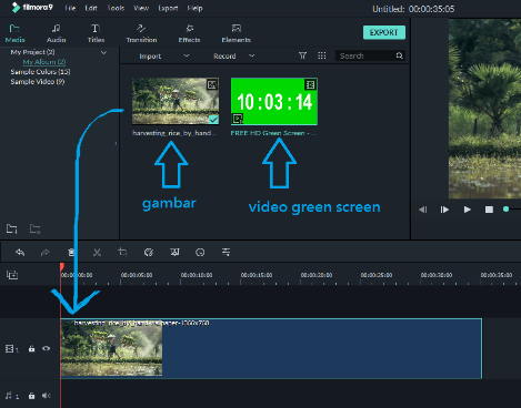 filmora pro green screen